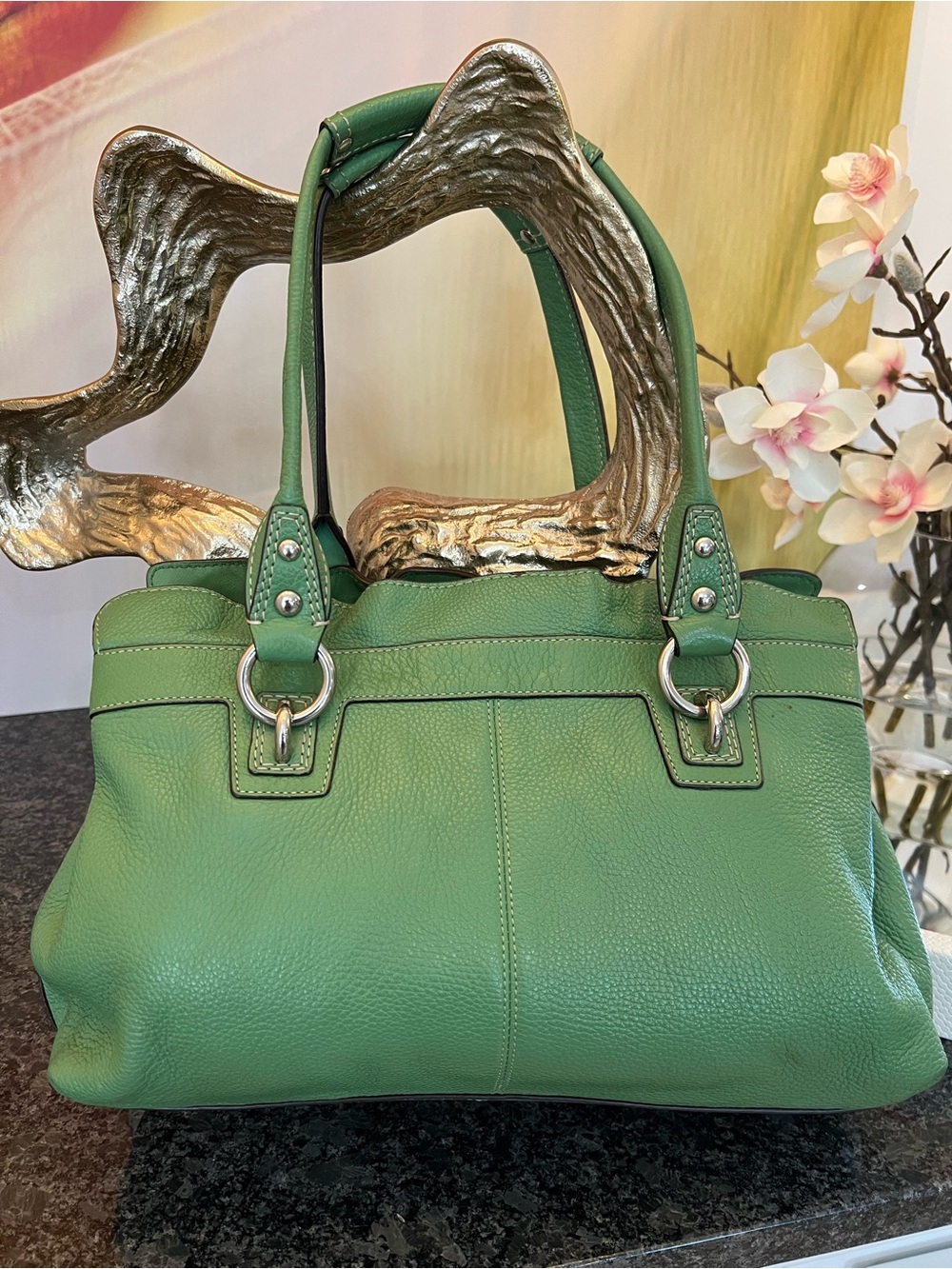 Coach Penelope Grass Pebbled Leather Satchel Bag with Silver Hardware - Picture 2 of 8